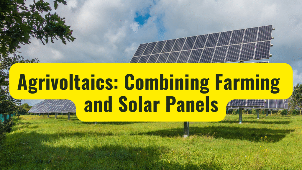 Agrivoltaics: Combining Farming and Solar Panels