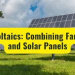Agrivoltaics: Combining Farming and Solar Panels