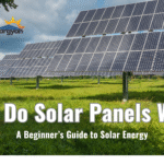How Do Solar Panels Work