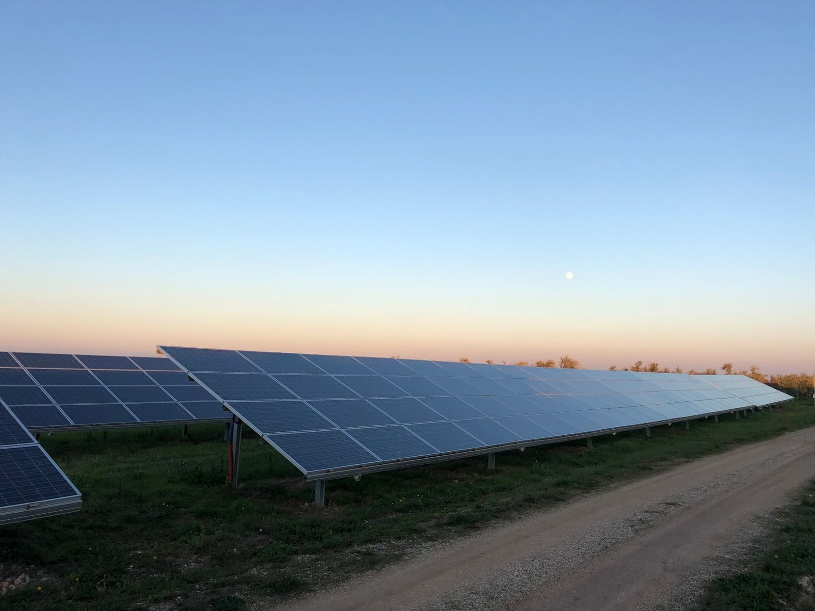 solar panels on a field at sunset